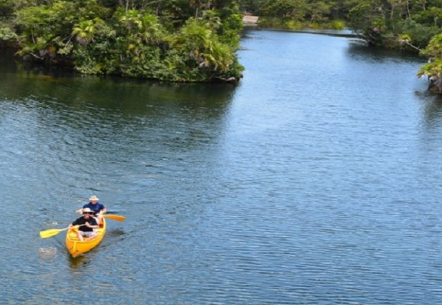 En medio de la selvas
